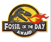fossil of the day