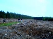 camp climat ecosse foret